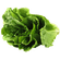 lechuga